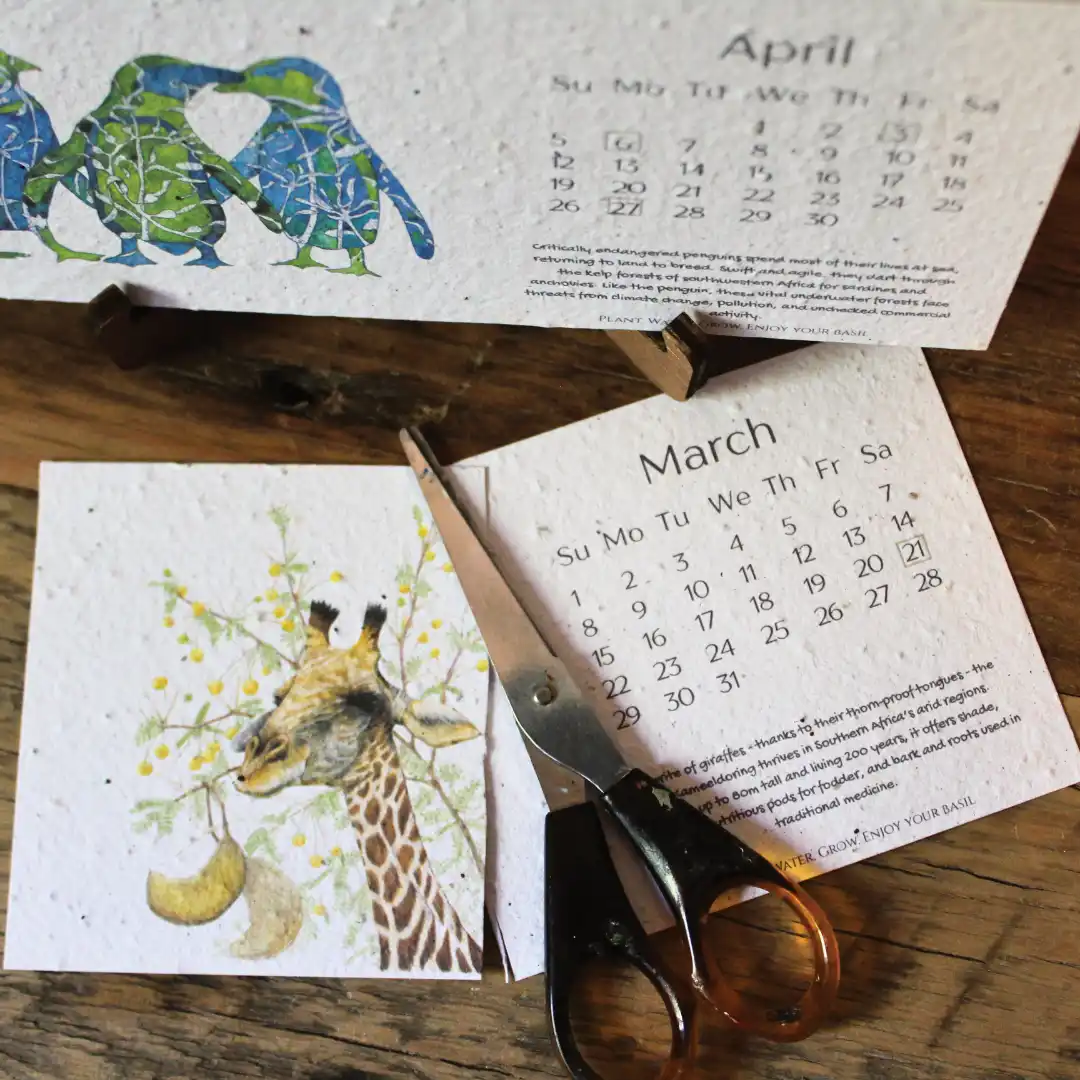 African Story Seed Paper 2026 Calendar