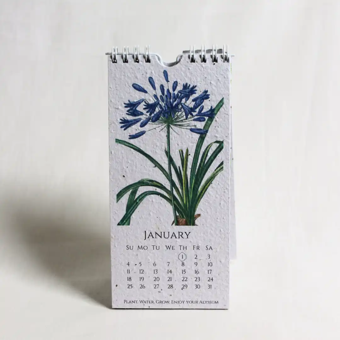 In The Garden Seed Paper 2026 Calendar