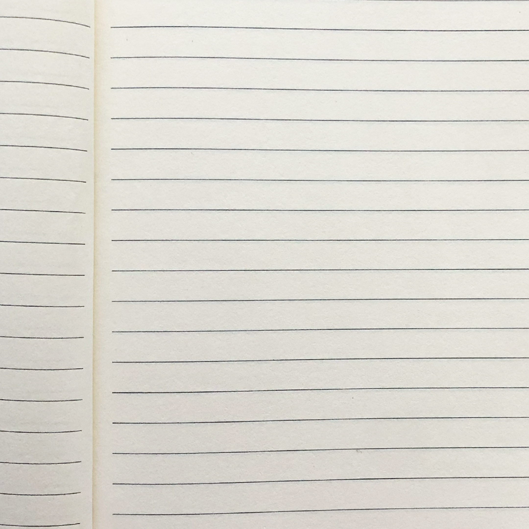 Image shows lined pages inside an A5 journal