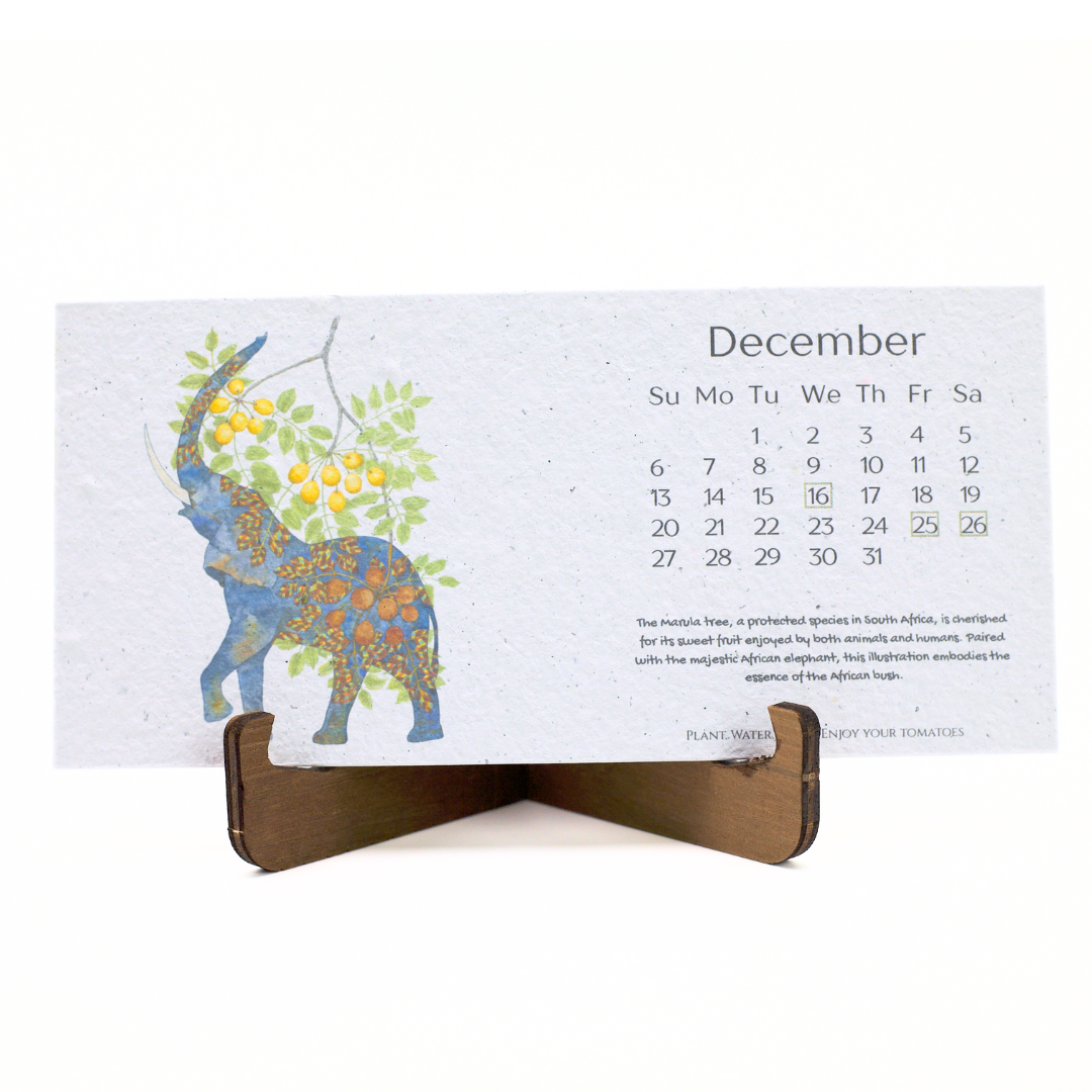 African Story Seed Paper 2026 Calendar