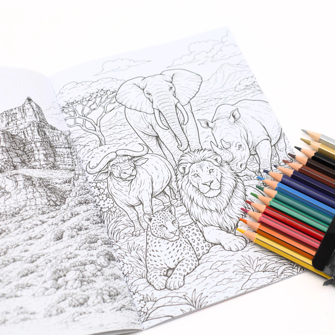 Colour Your World Colouring Book Set