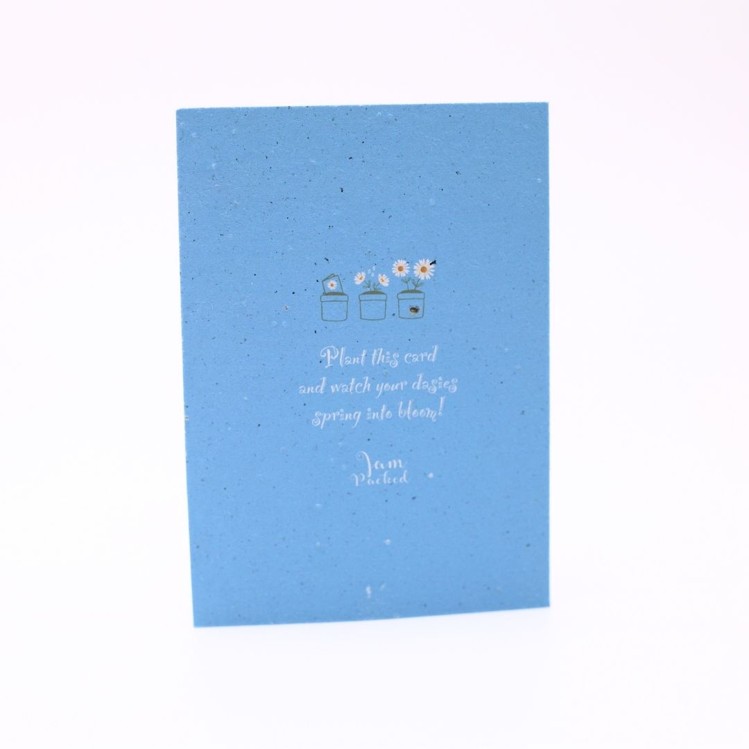 Seed Paper Greeting Cards