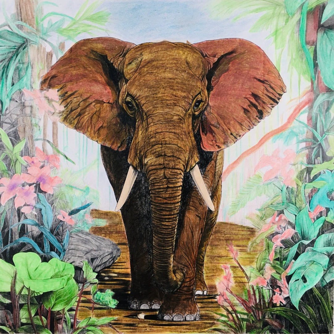 iColor Colouring Board