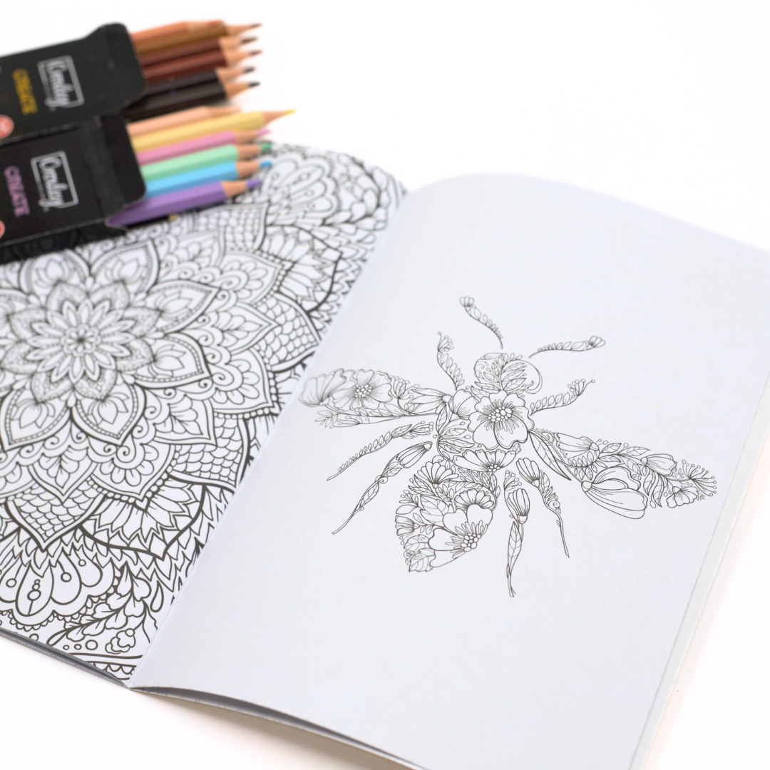 Fynbos Colouring Book Set