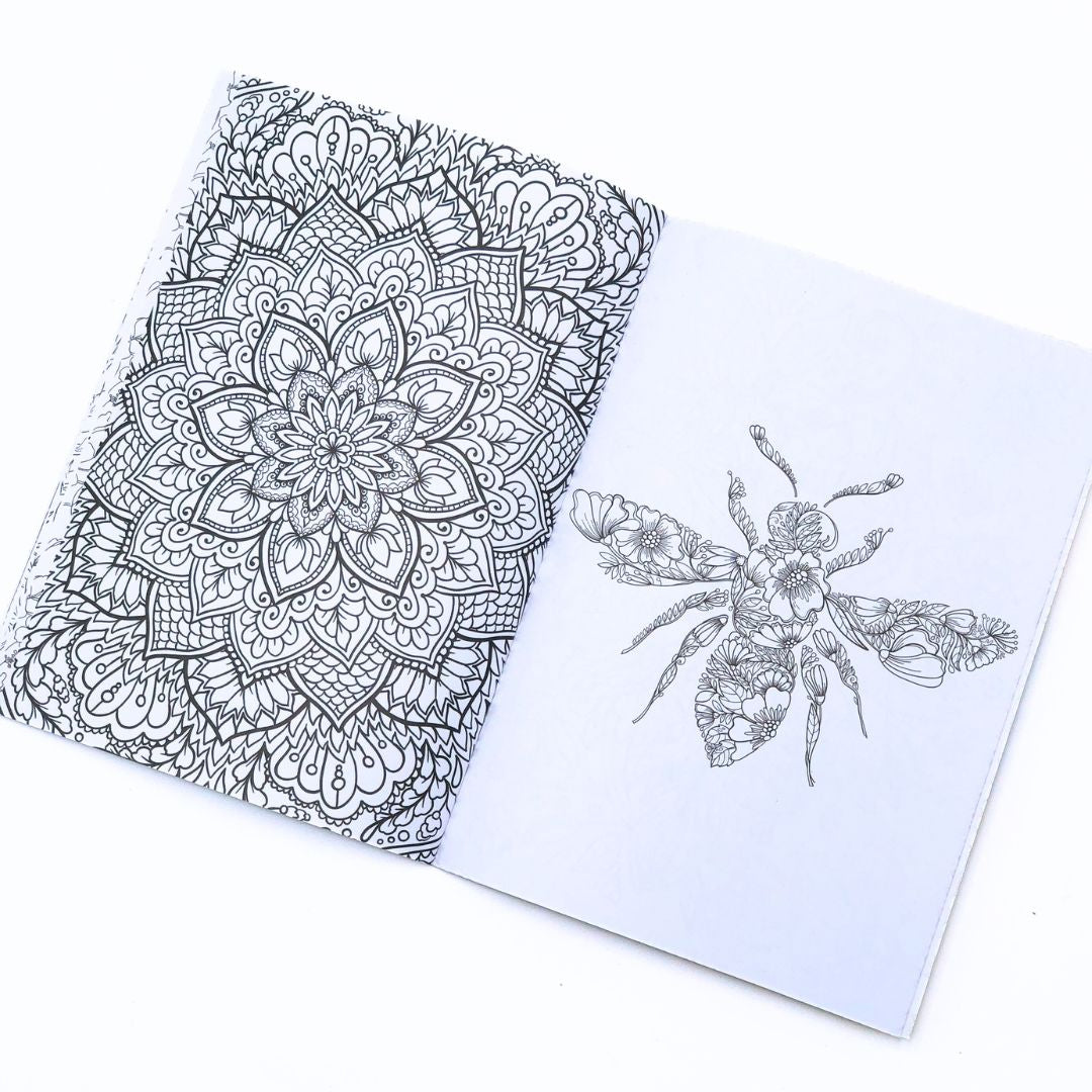 Fynbos Colouring Book Set