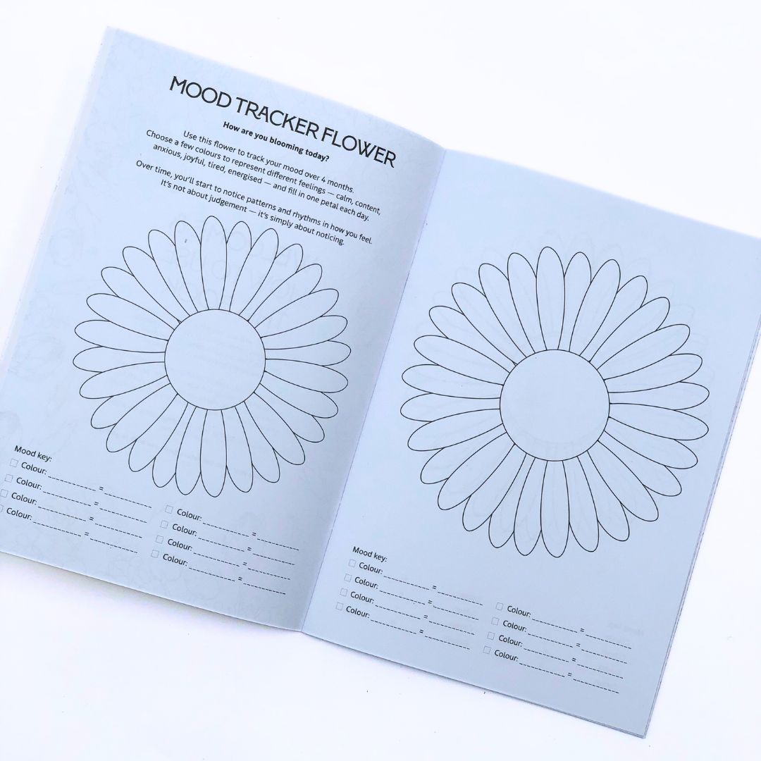 Fynbos Colouring Book Set