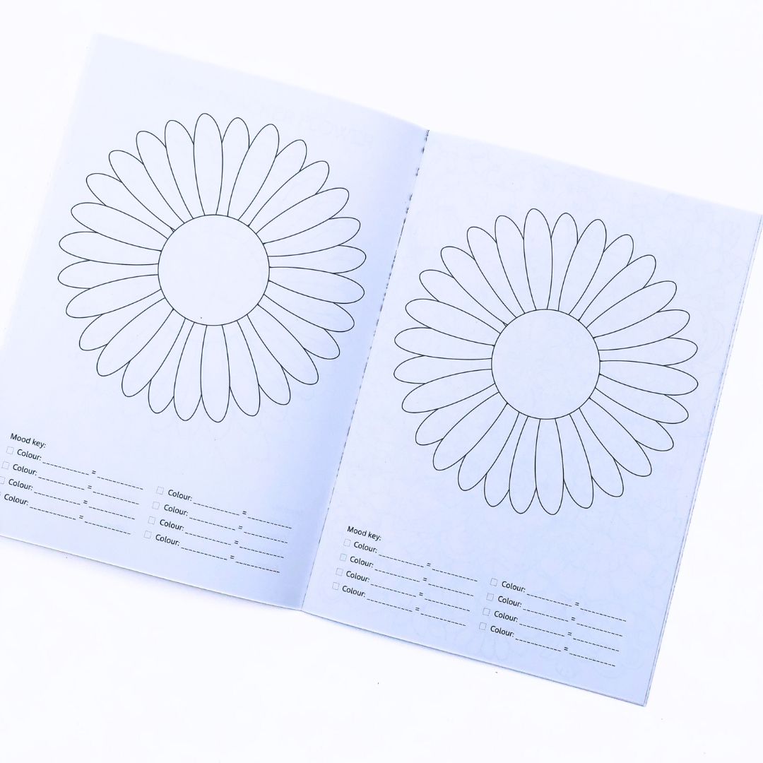 Fynbos Colouring Book Set