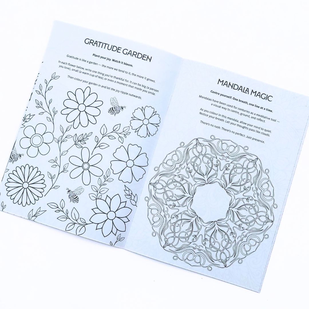 Fynbos Colouring Book Set