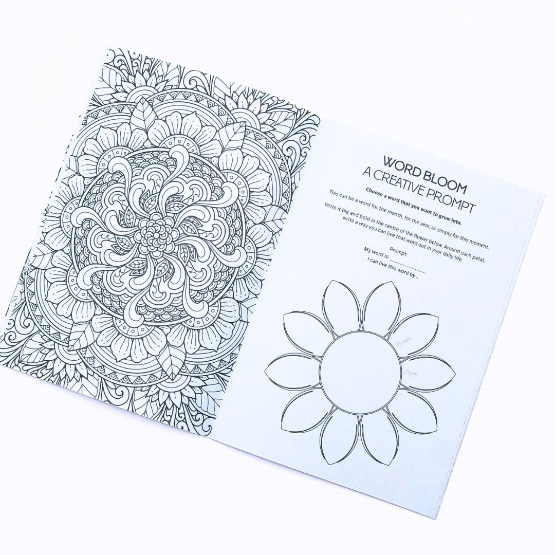 Fynbos Colouring Book Set