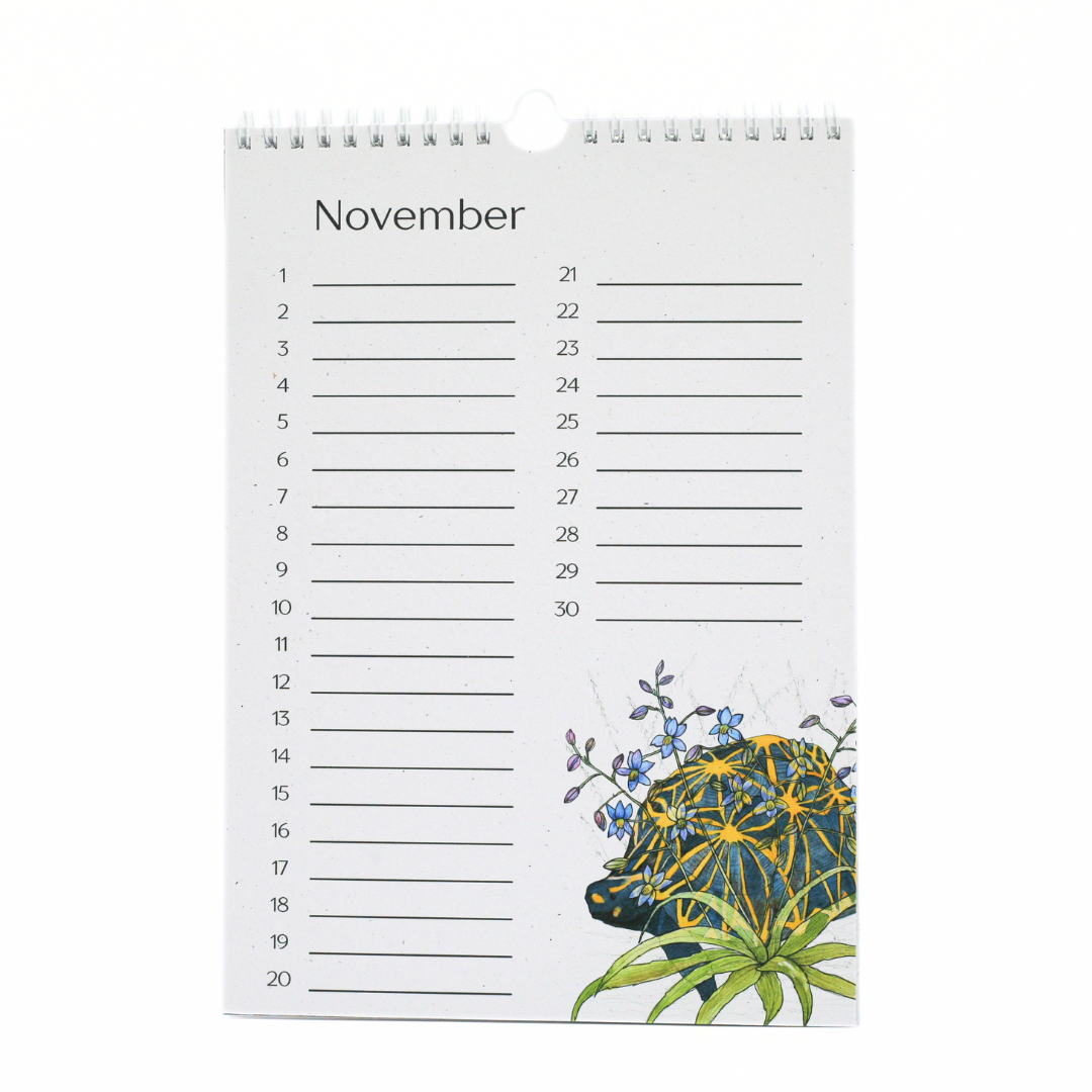 African Story Birthday Calendar