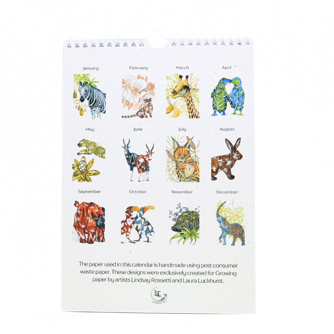 African Story Birthday Calendar