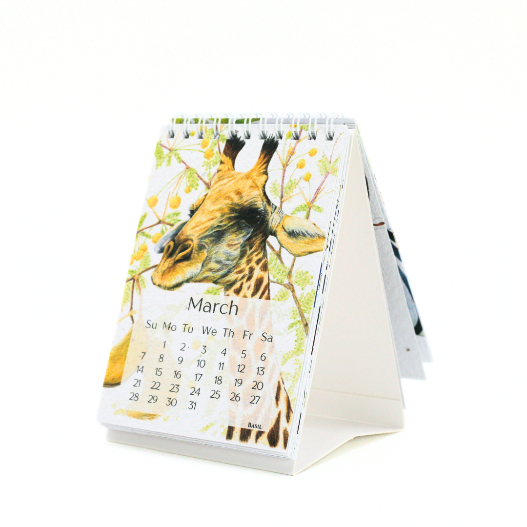 African Story Seed Paper 2027 Tent Calendar