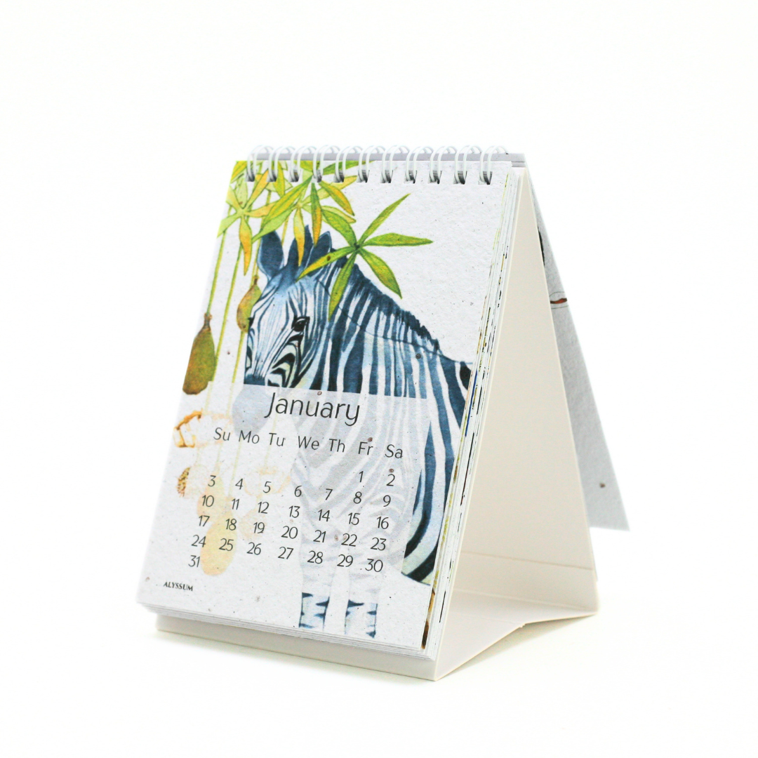 African Story Seed Paper 2027 Tent Calendar
