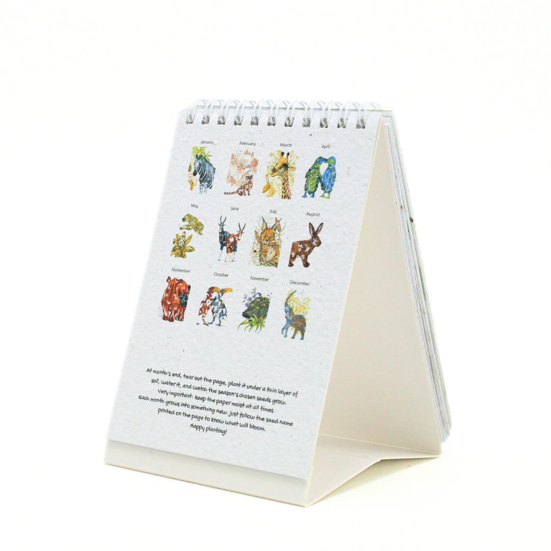 African Story Seed Paper 2027 Tent Calendar
