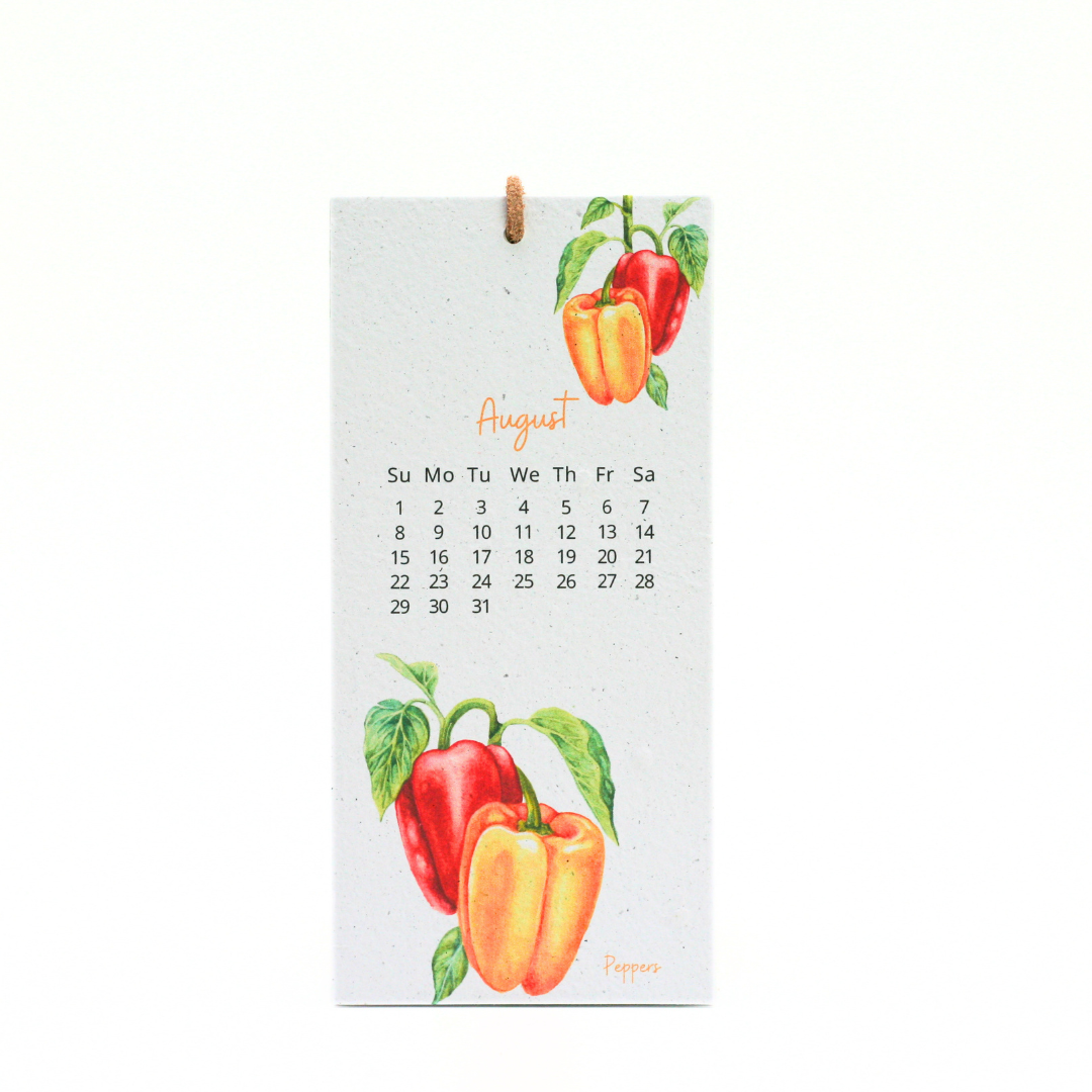 Nature's Palette Seed Paper 2027 Calendar