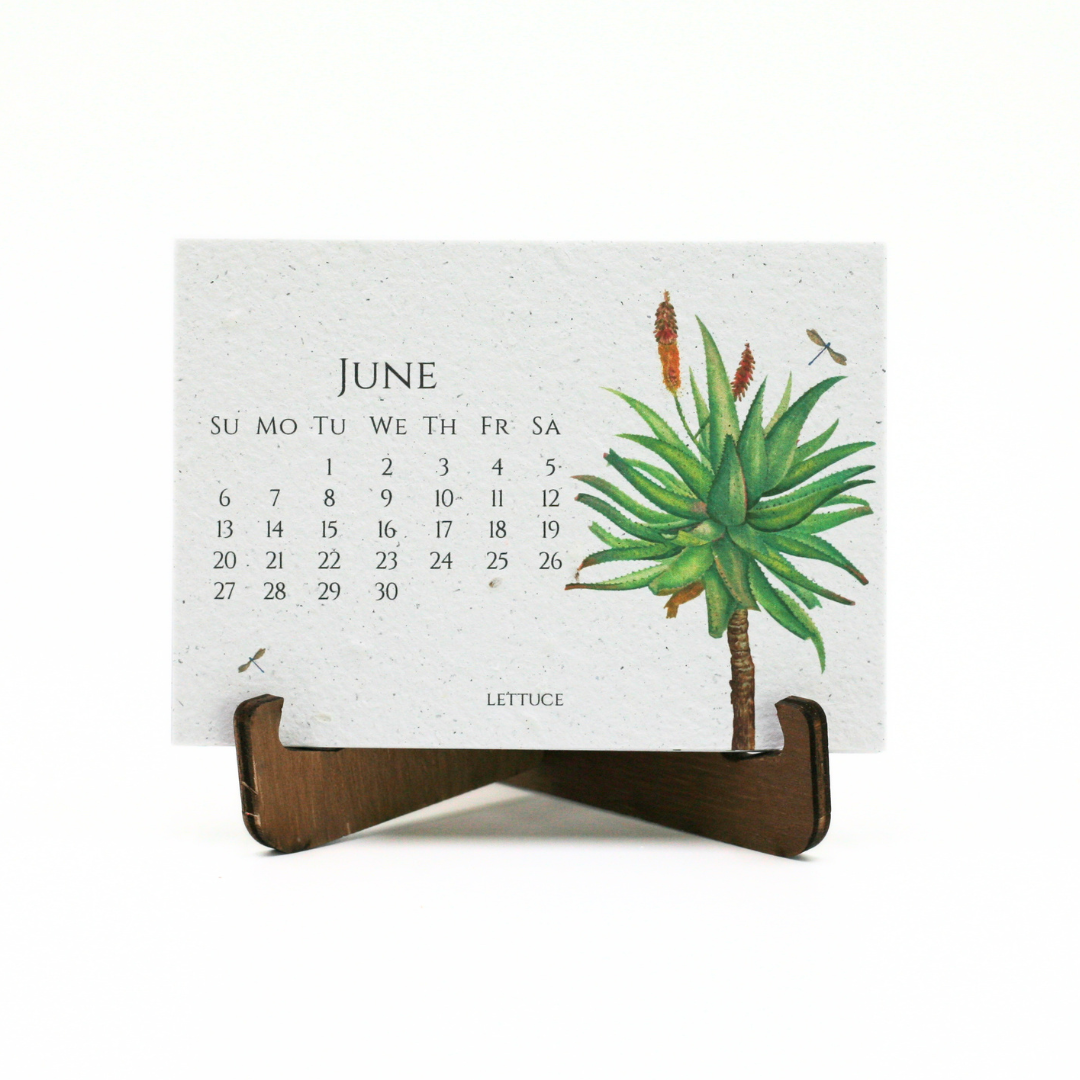 In The Garden Seed Paper 2027 Calendar