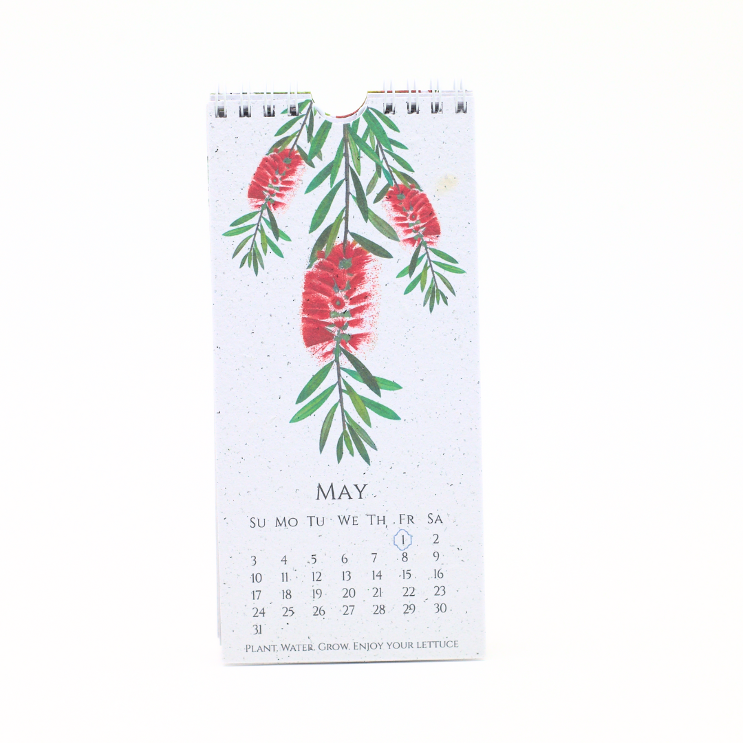 In The Garden Seed Paper 2026 Calendar