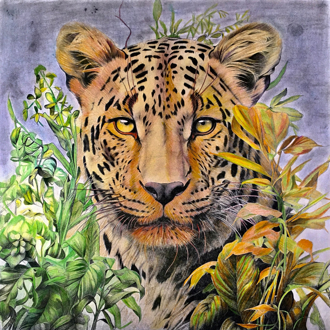 iColor Colouring Board