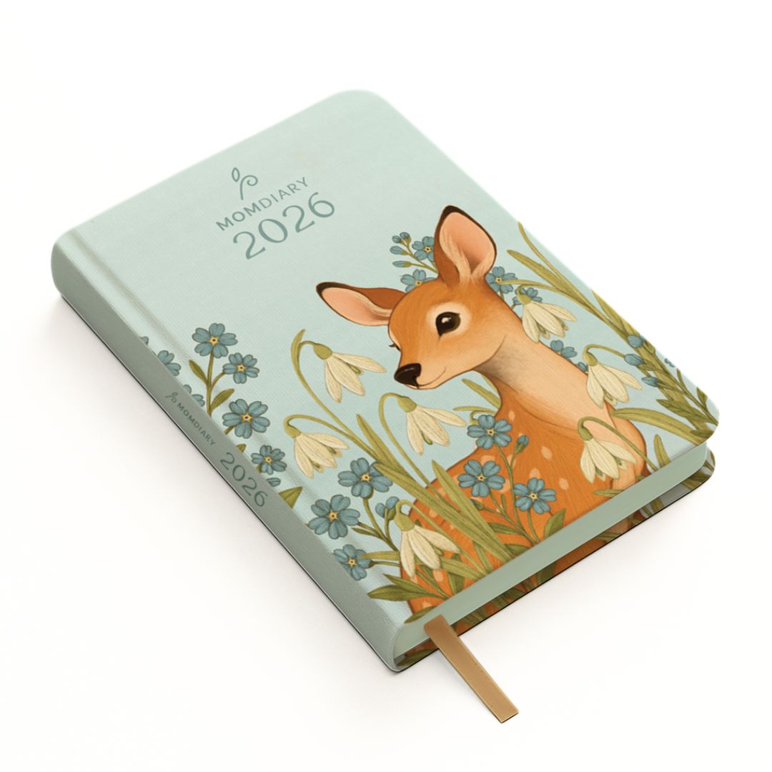 2024 Diary Collection – Wide Variety Of Beautiful Diaries – The Papery