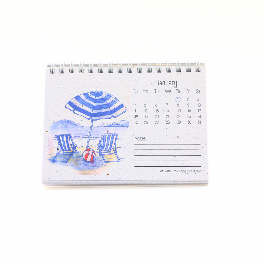 Moments Seed Paper 2026 Calendar
