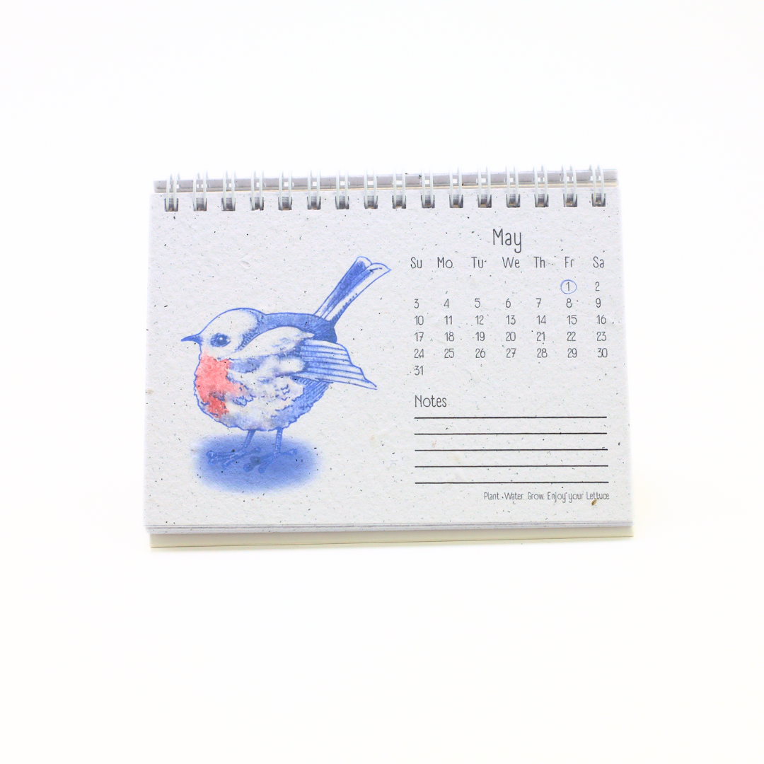 Moments Seed Paper 2026 Calendar