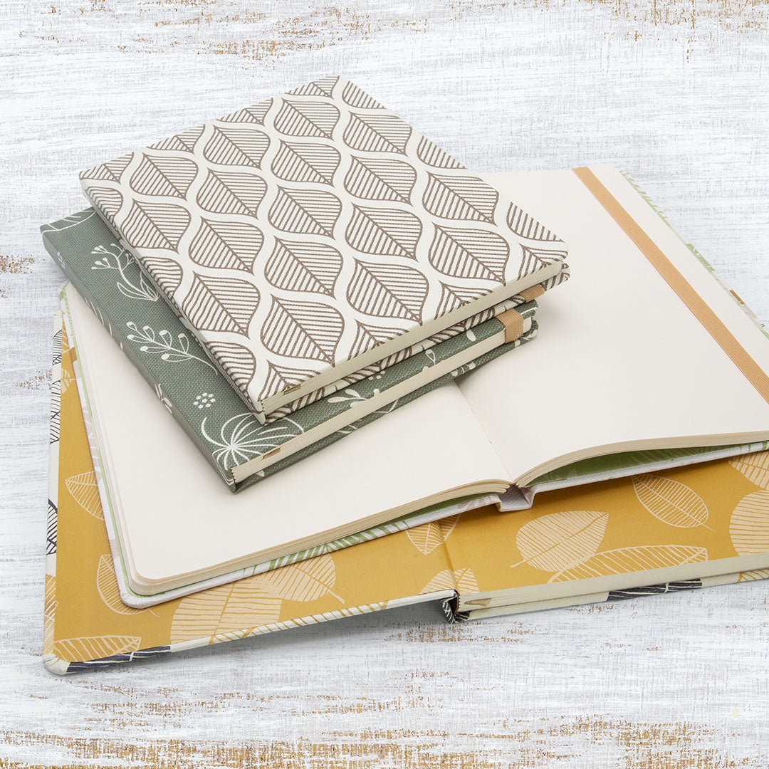 Image shows a group shot of the Nature hardcover journals