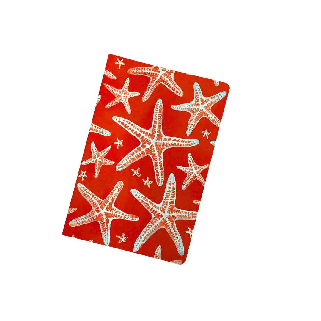 Ocean Treasures A5 Notebooks (3 pack)