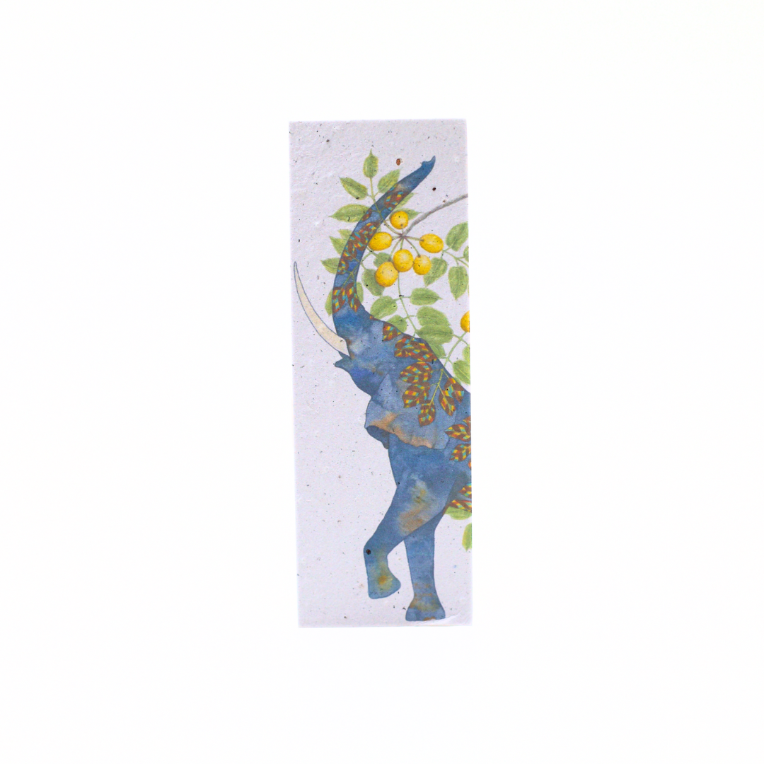 Seed Paper Bookmarks