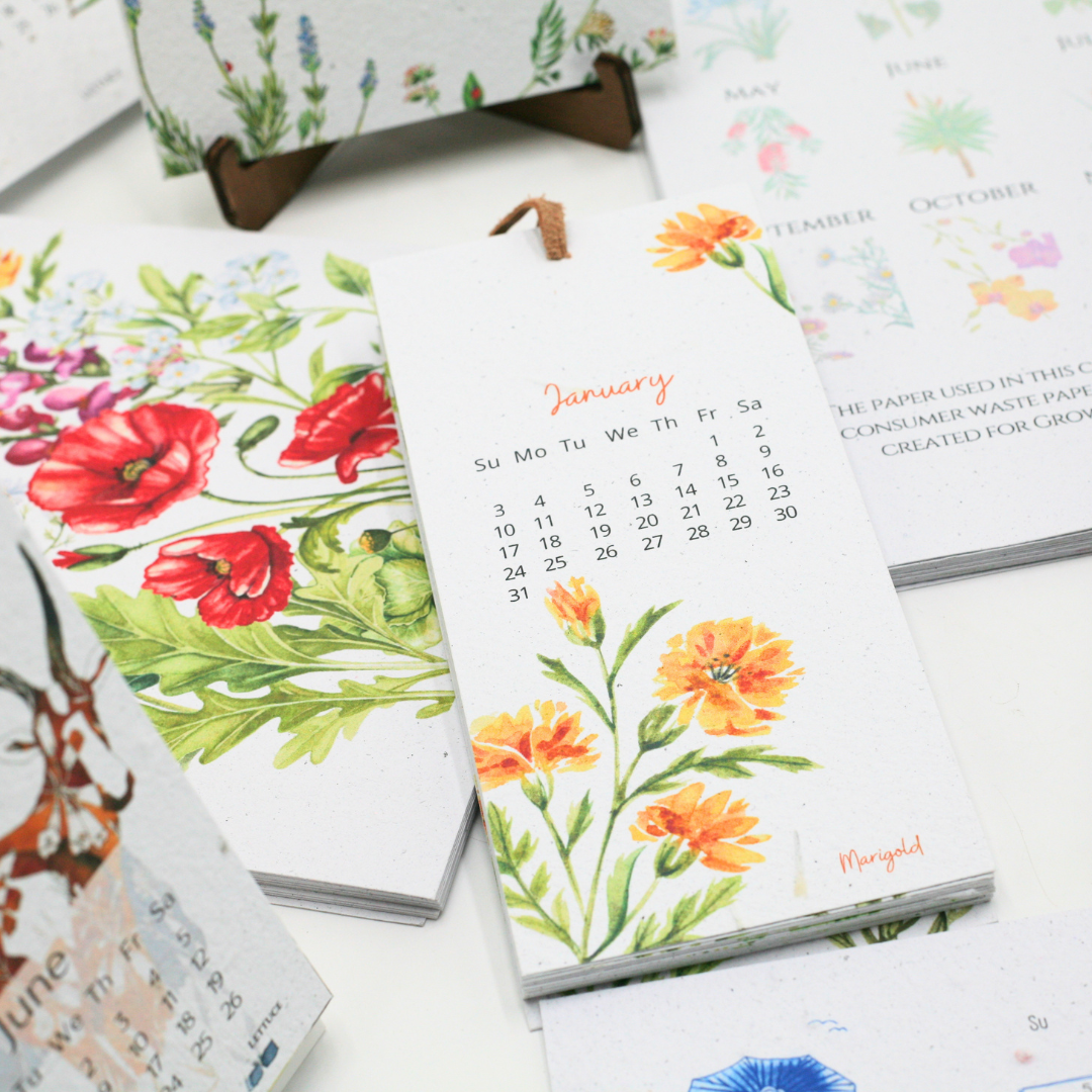 Nature's Palette Seed Paper 2027 Calendar