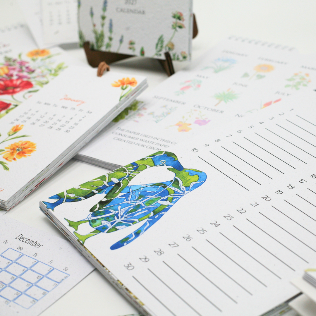 African Story Seed Paper 2027 Tent Calendar