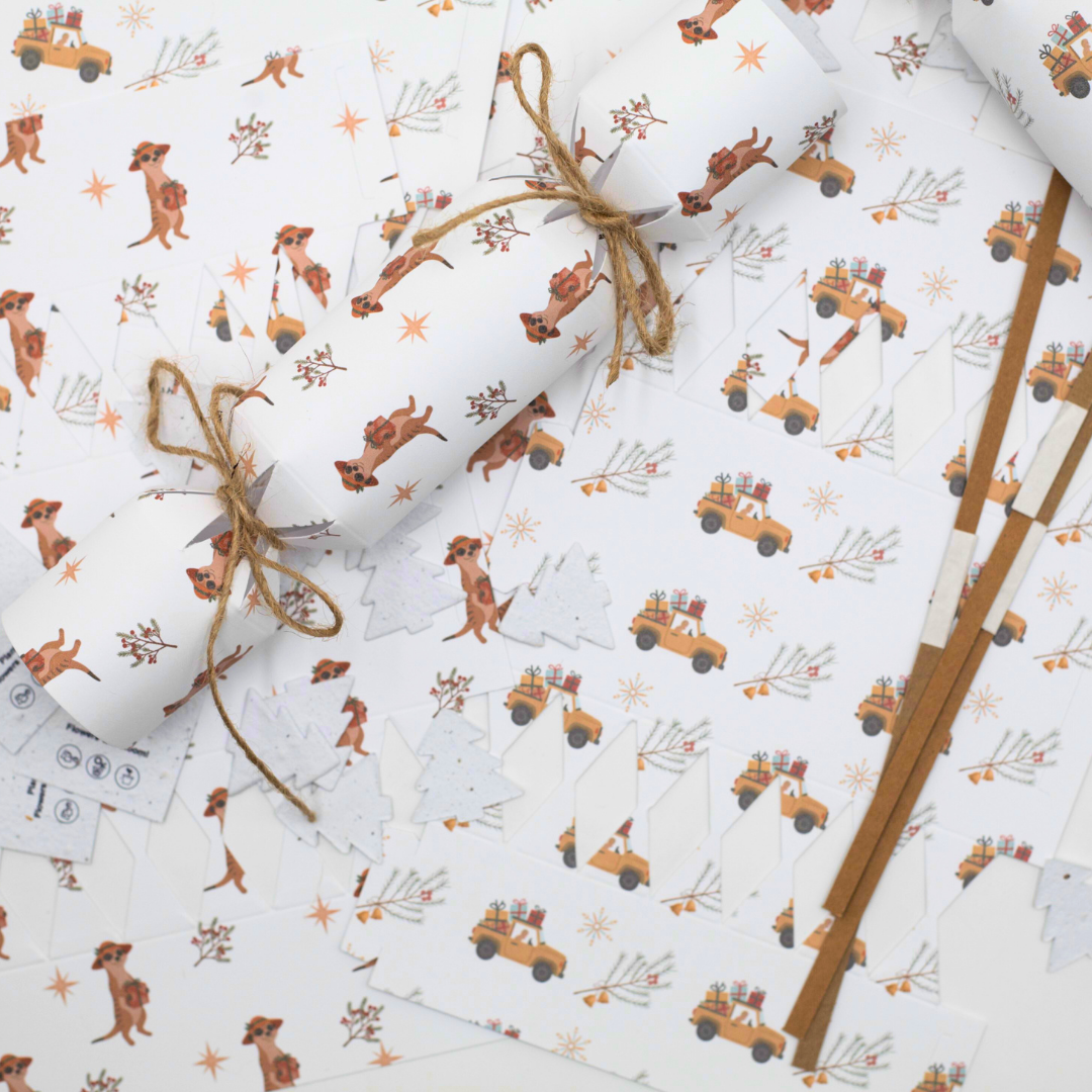 Seed Paper DIY Christmas Cracker Packs