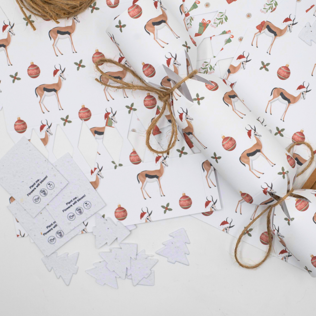 Seed Paper DIY Christmas Cracker Packs