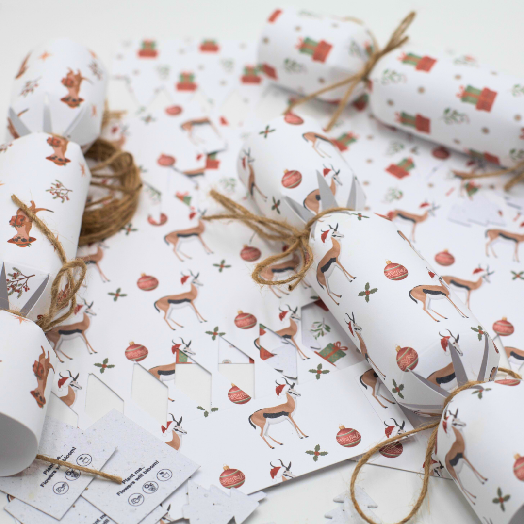 Seed Paper DIY Christmas Cracker Packs