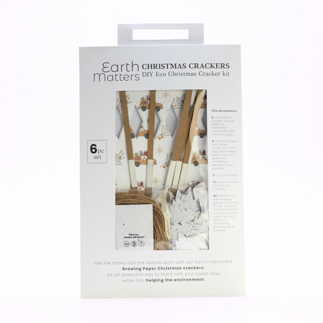 Seed Paper DIY Christmas Cracker Packs