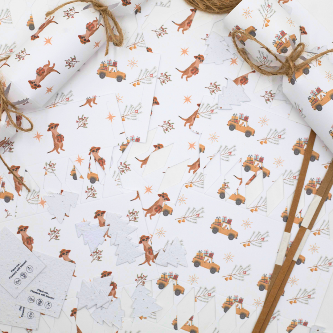 Seed Paper DIY Christmas Cracker Packs