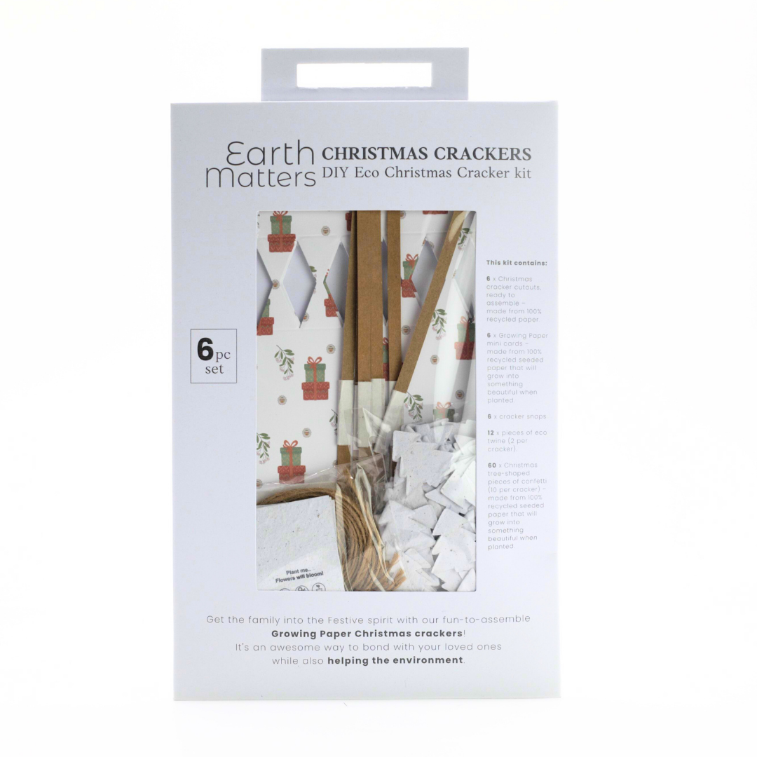 Seed Paper DIY Christmas Cracker Packs