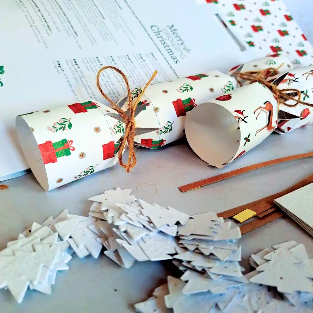 Seed Paper DIY Christmas Cracker Packs