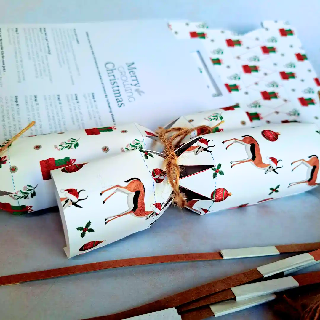Seed Paper DIY Christmas Cracker Packs