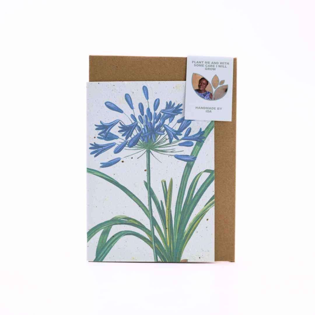 Seed Paper Greeting Cards