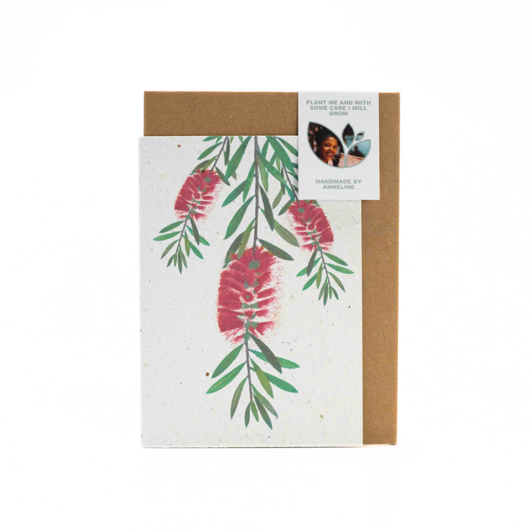 Seed Paper Greeting Cards