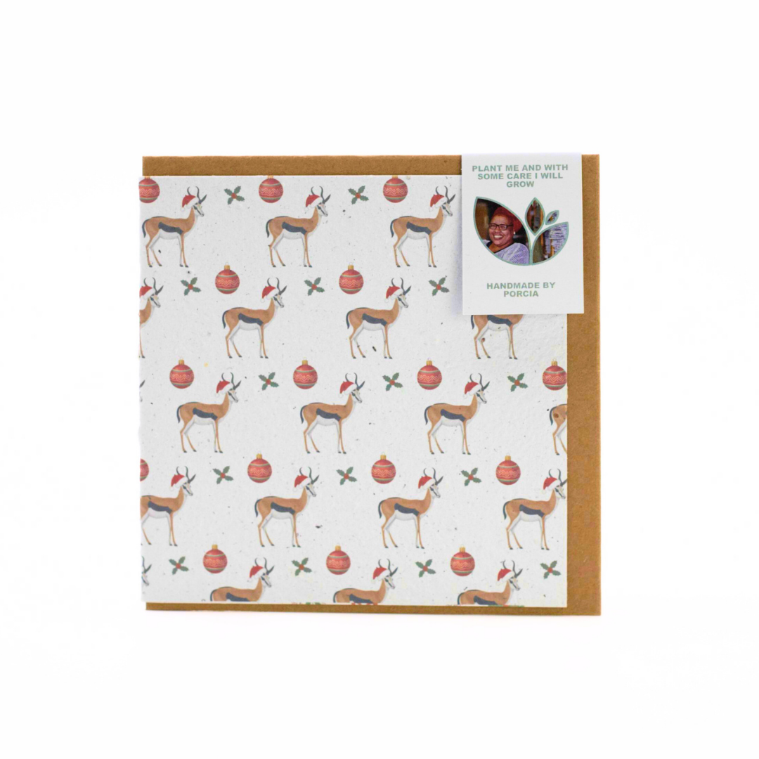 Seed Paper Greeting Cards