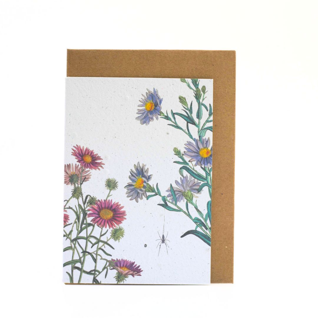 Seed Paper Greeting Cards