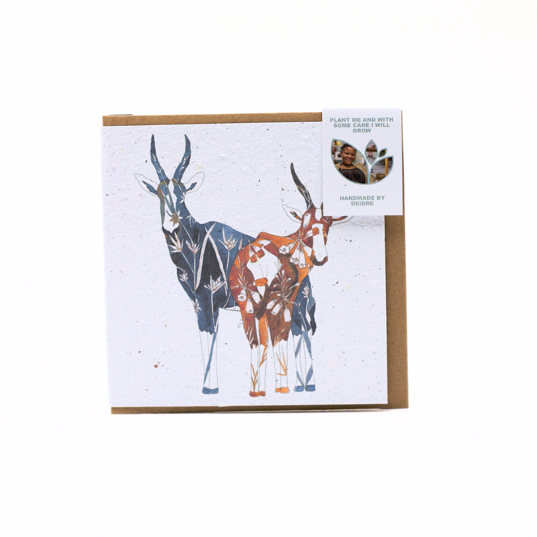 Seed Paper Greeting Cards
