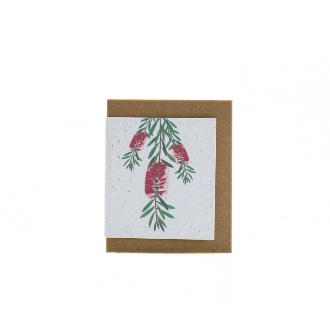 Seed Paper Mini Cards