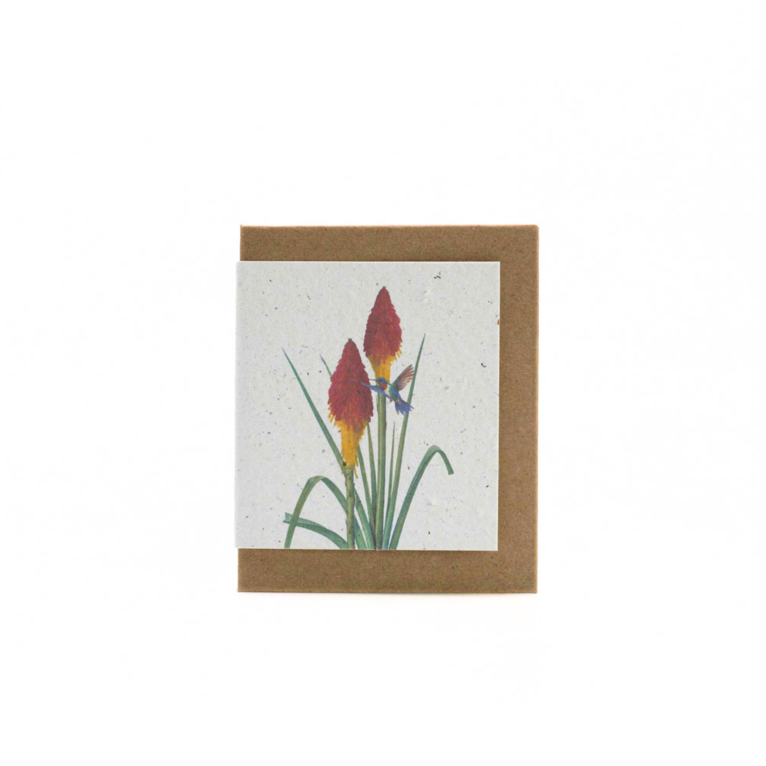 Seed Paper Mini Cards