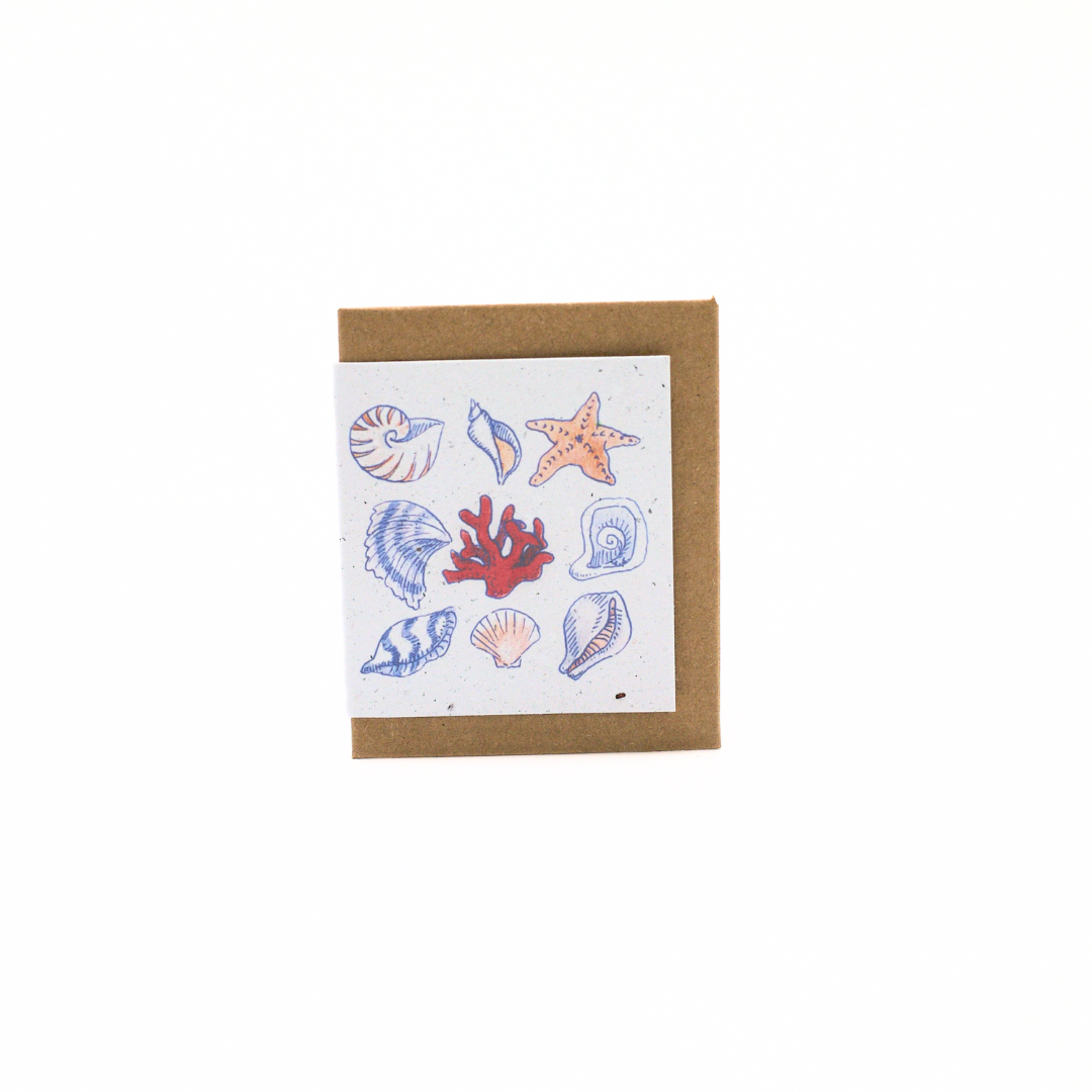 Seed Paper Mini Cards