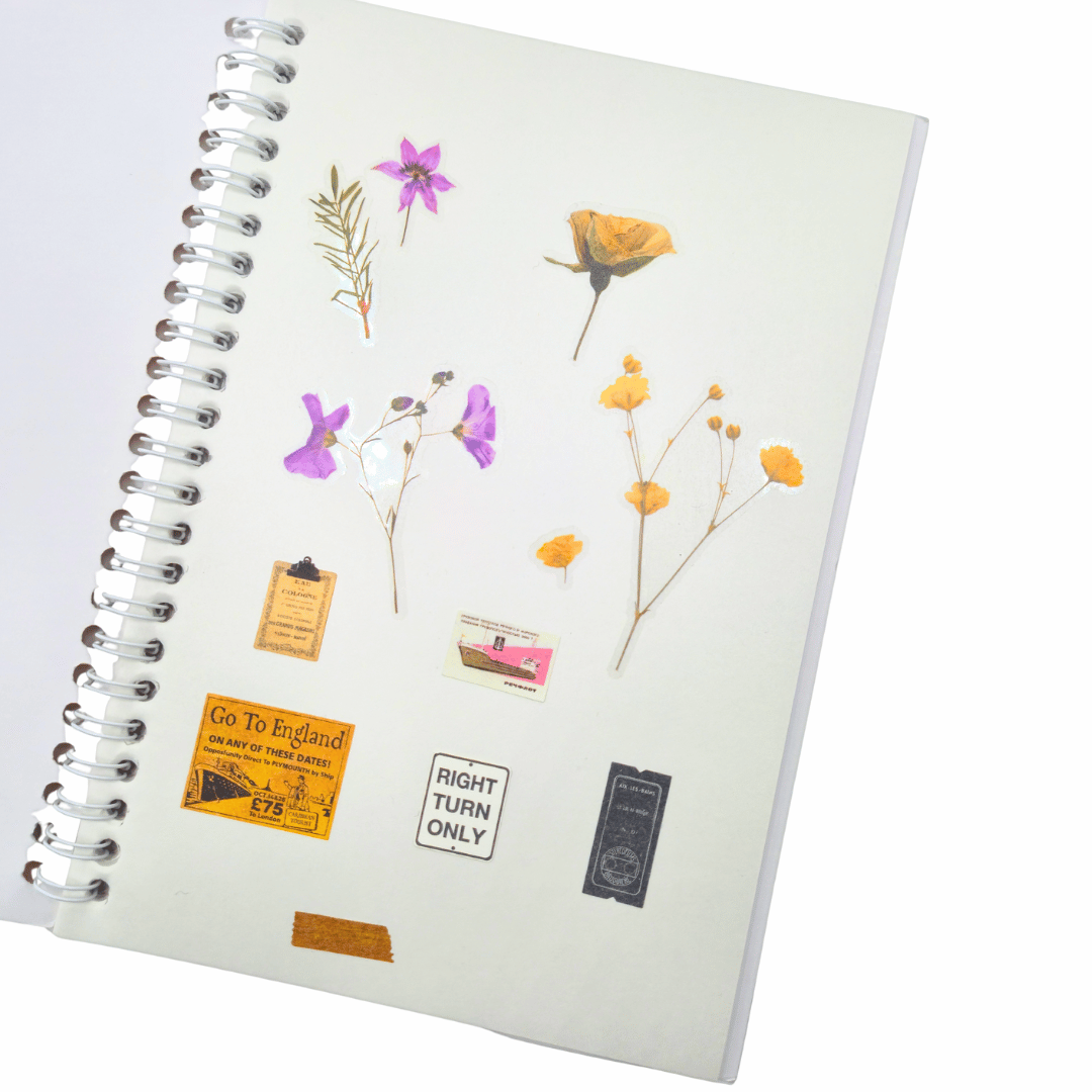 Assorted Sticker Books