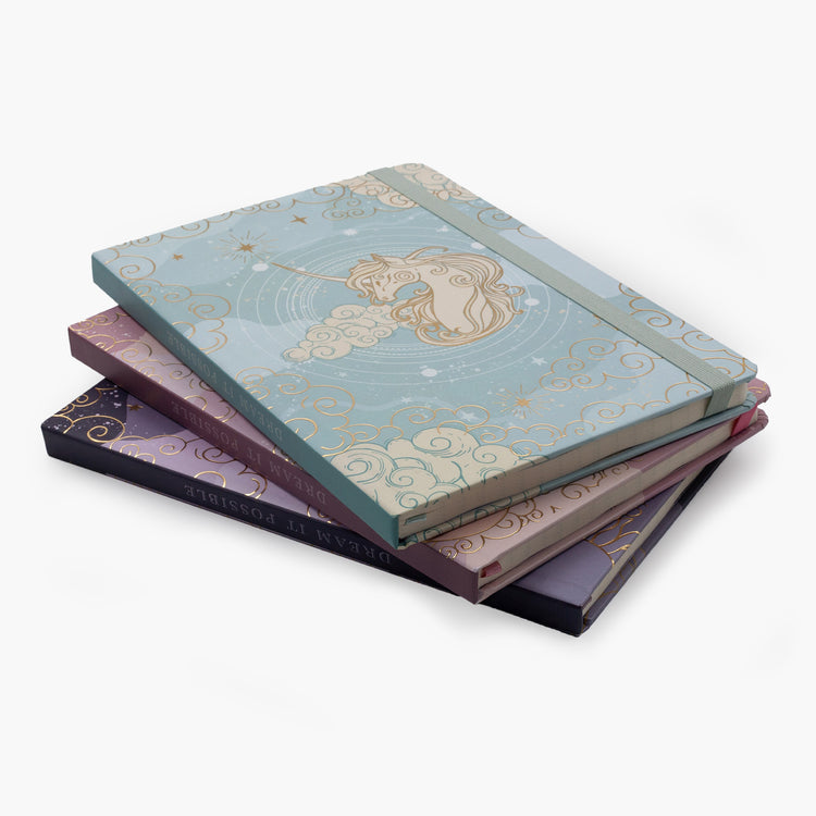 Image shows a group shot of the Dream Big journal range
