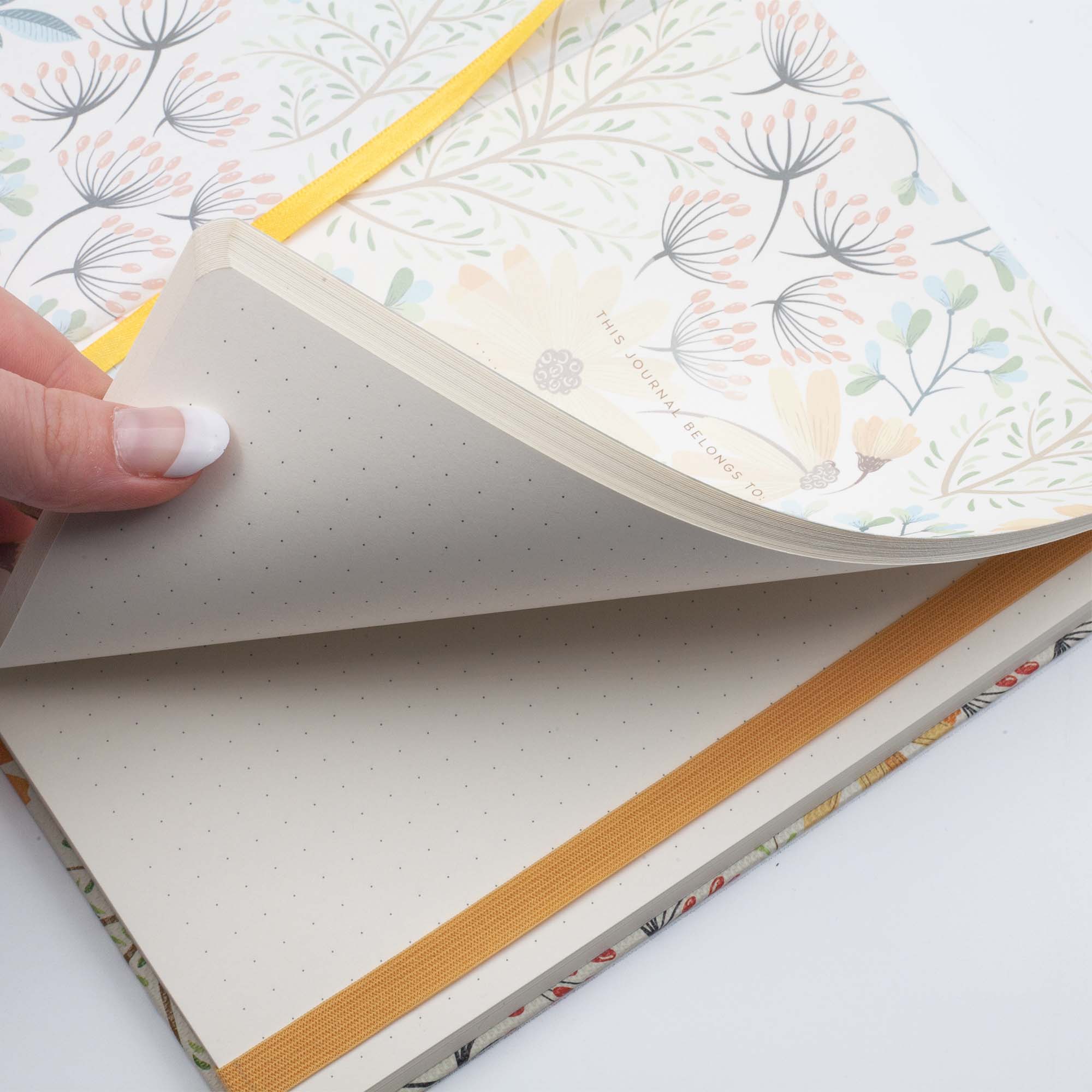 Image shows the endpaper and dotted pages of the Summer Premium journal