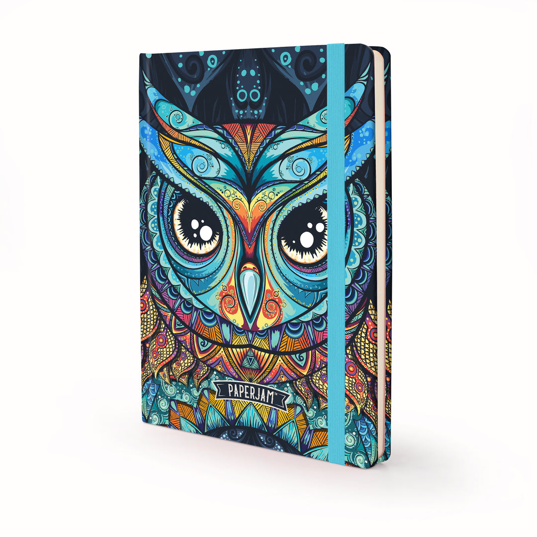 Image shows a Retro Owl journal